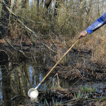 Dipping for larvae