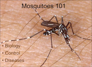 Mosquitoes 101
